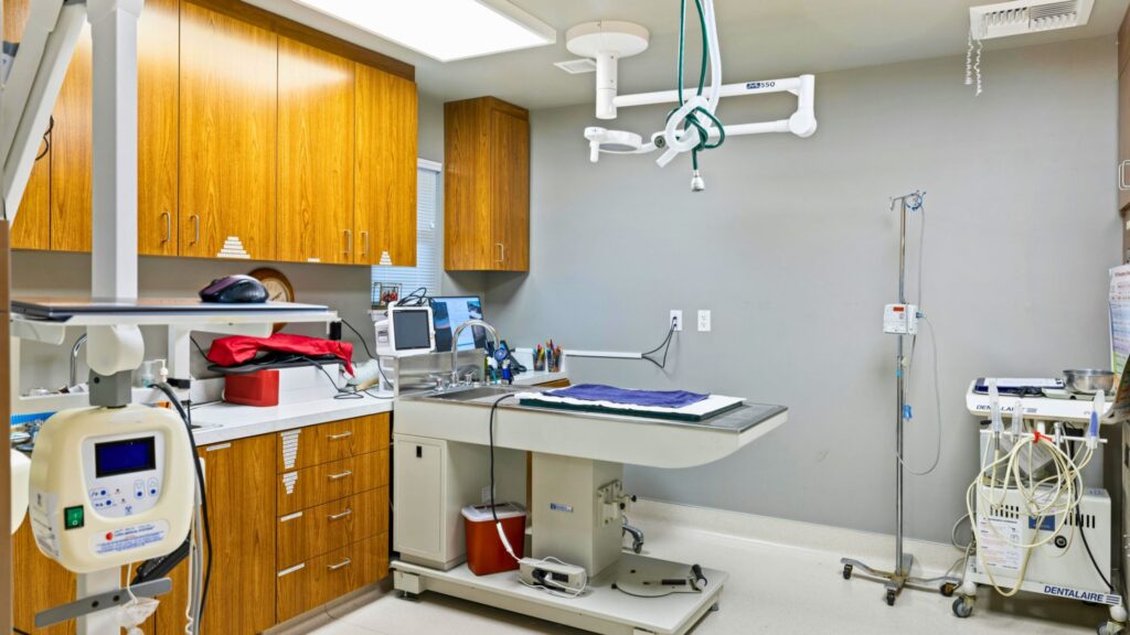 clinica veterinaria petlove