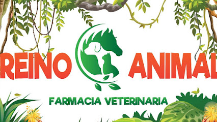 clinica veterinaria reino animal