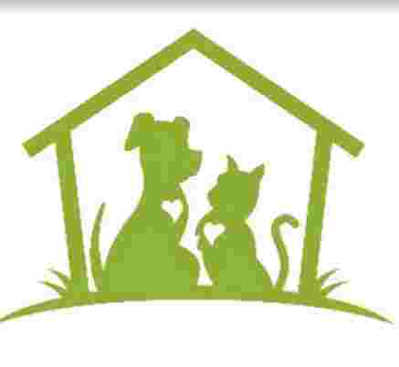 clinica veterinaria reino animal