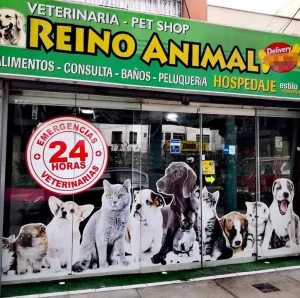 clinica veterinaria reino animal