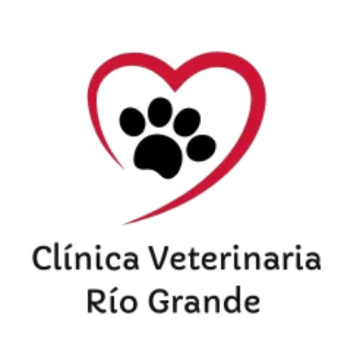 clinica veterinaria rio grande