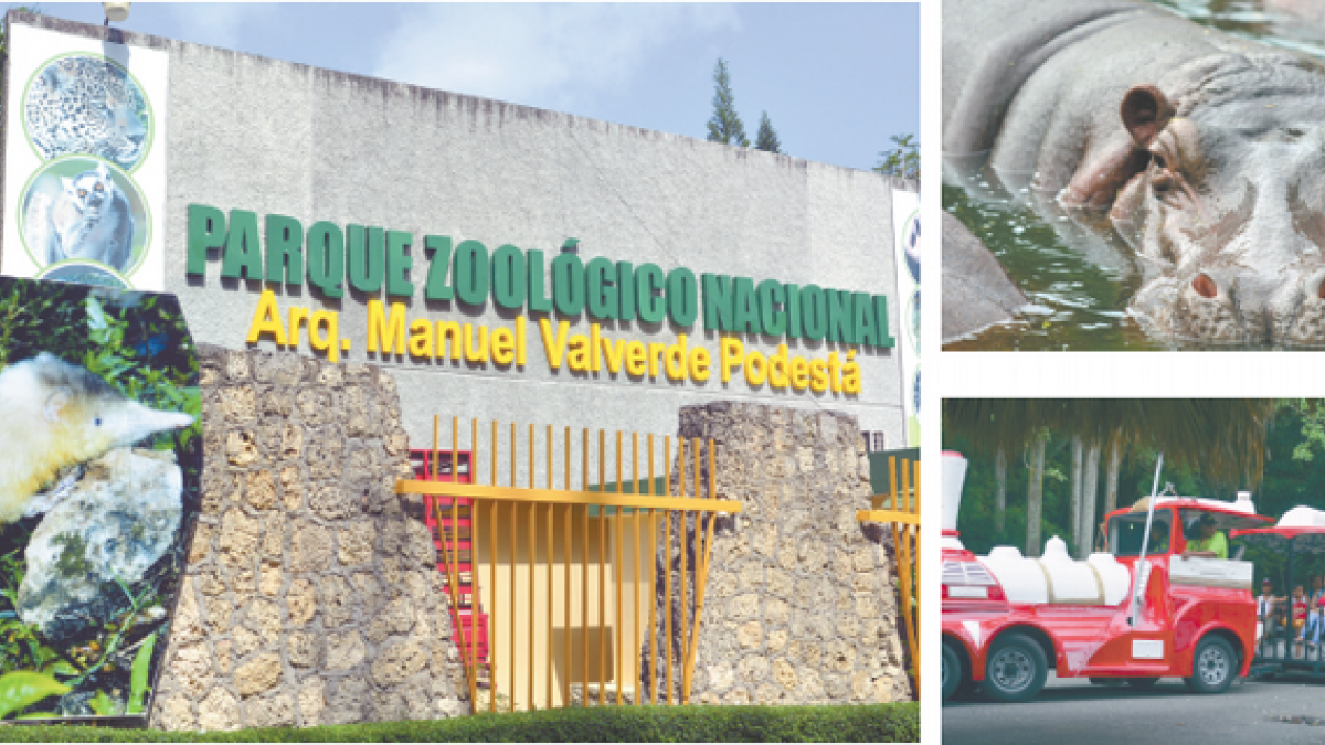 clinica veterinaria serie 23 veterinaria en san pedro de macoris