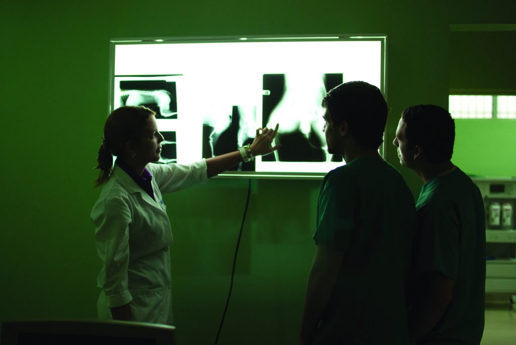 clinica veterinaria unphu 1