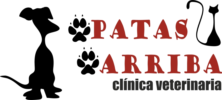 clinica veterinaria ventura 1