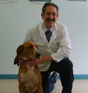 clinica veterinaria ventura