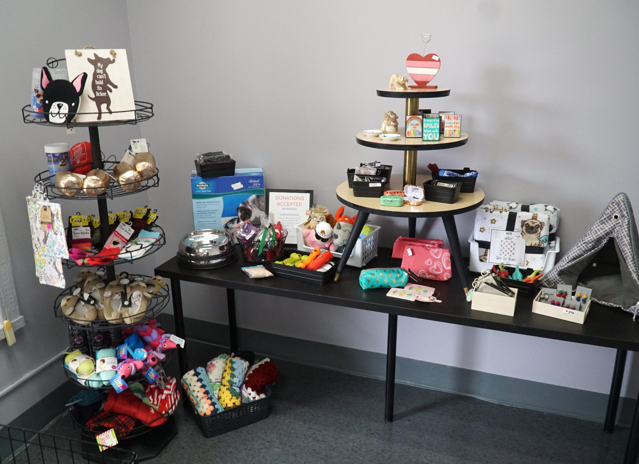 clinica veterinaria waggy tails scaled