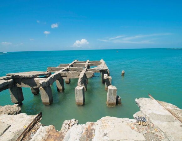cpn sabana grande de palenque