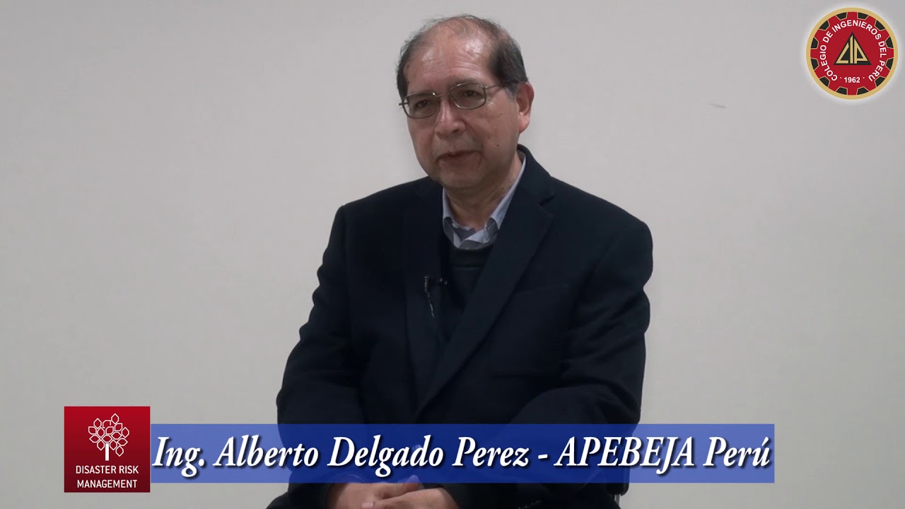 delgado perez srl