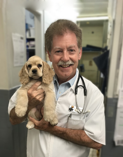 doctor bobs veterinary clinic