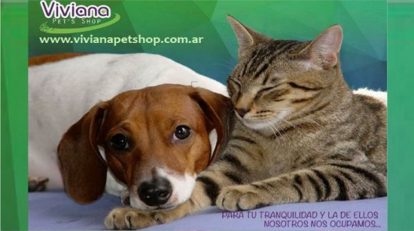 dpache pet shop veterinaria 1