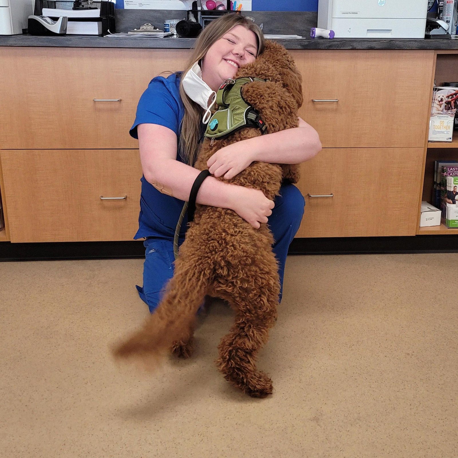 dr noe veterinaria 1