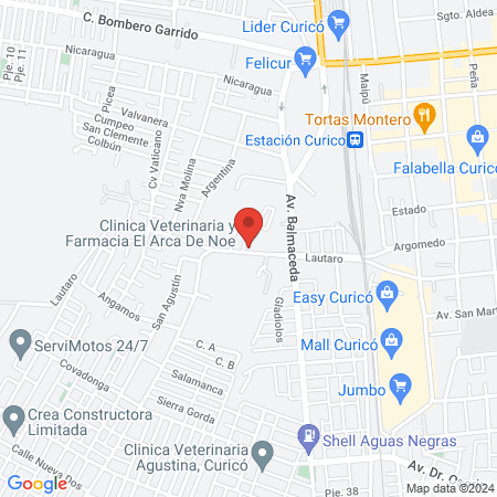 dr noe veterinaria 1