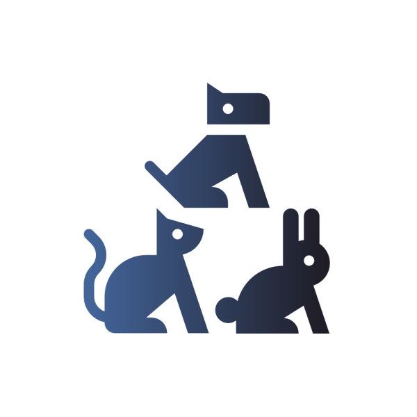 dr noe veterinaria 2