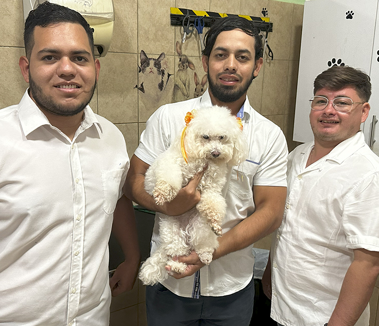 dr noe veterinaria 4