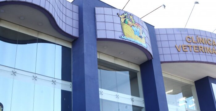 dr noe veterinaria 5