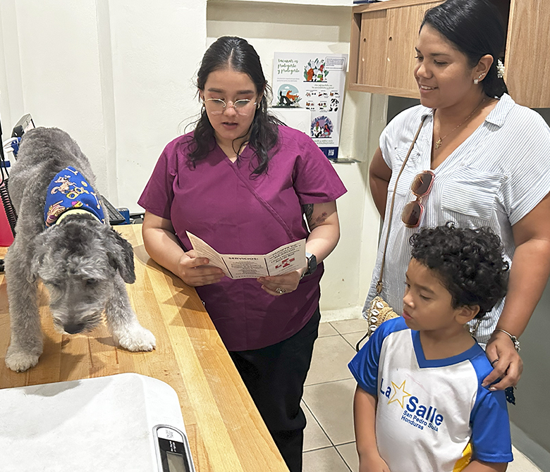 dr noe veterinaria 7