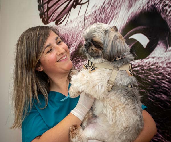 dr noe veterinaria 8