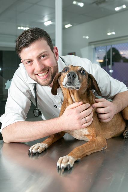 dr noe veterinaria 9