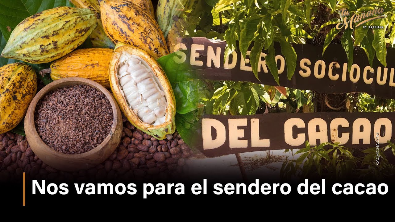 el sendero del cacao