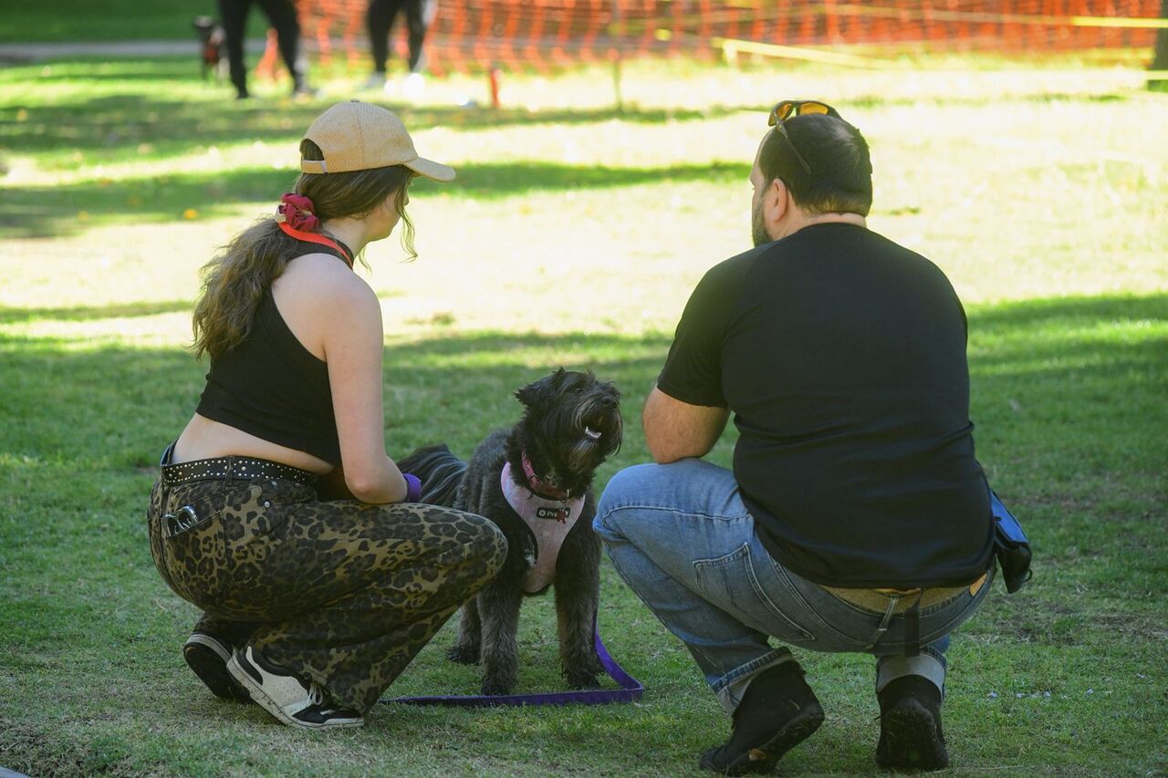 eli petshop y clinica veterinaria