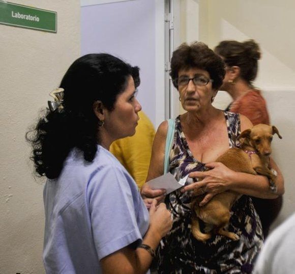 farmacia veterinaria marisol