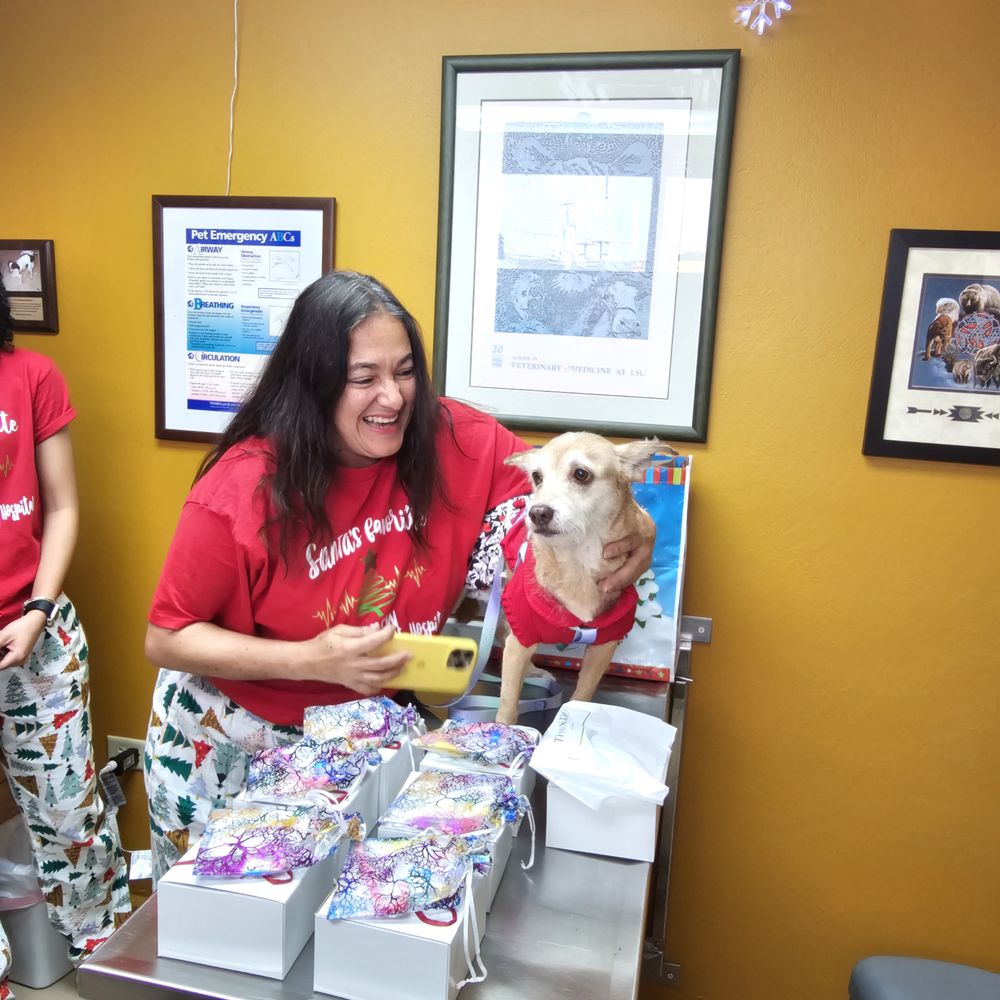 gruvetci grupo veterinario del cibao