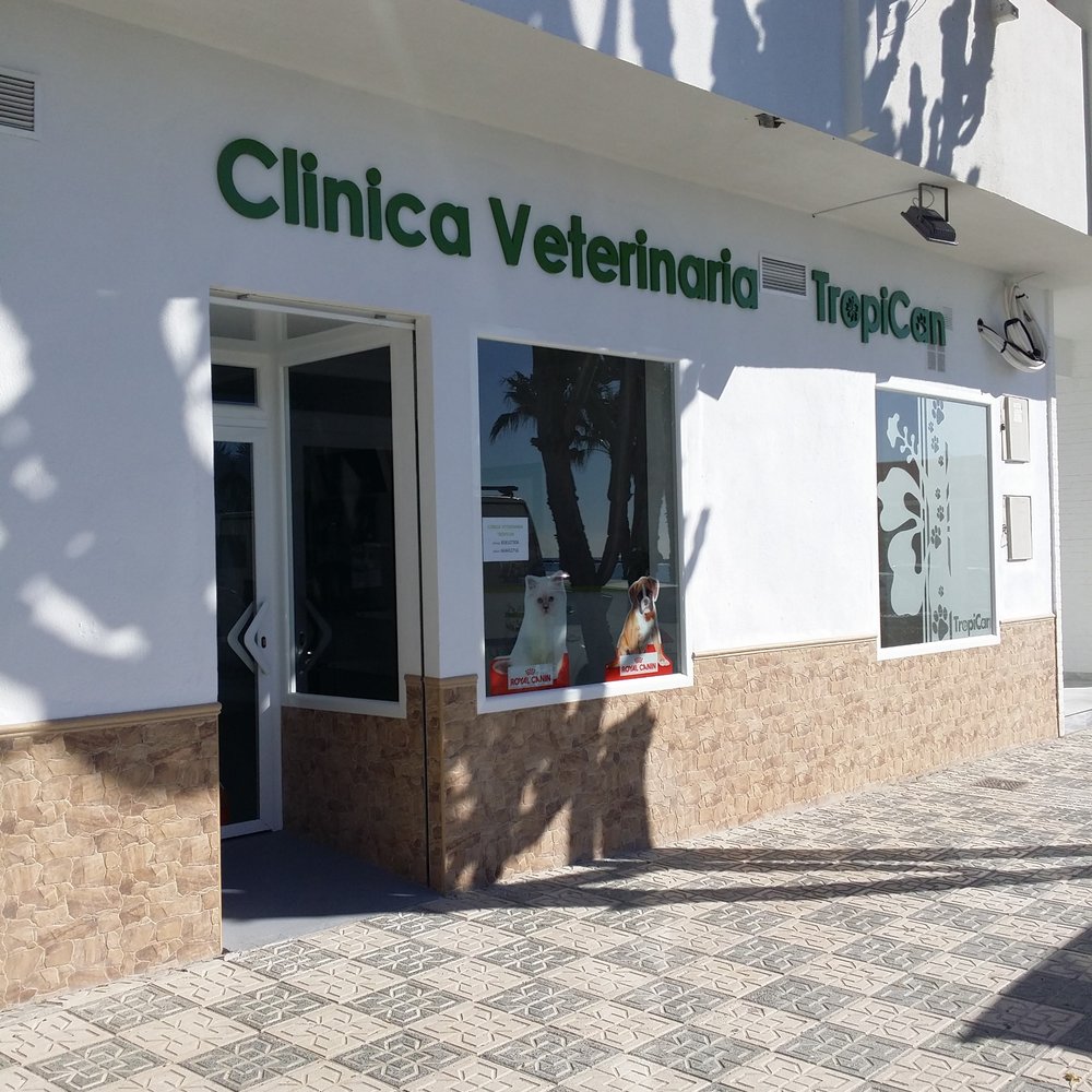 hospital veterinario arroyo hondo 1