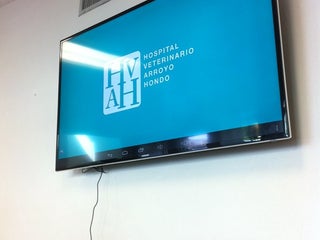 hospital veterinario arroyo hondo 11