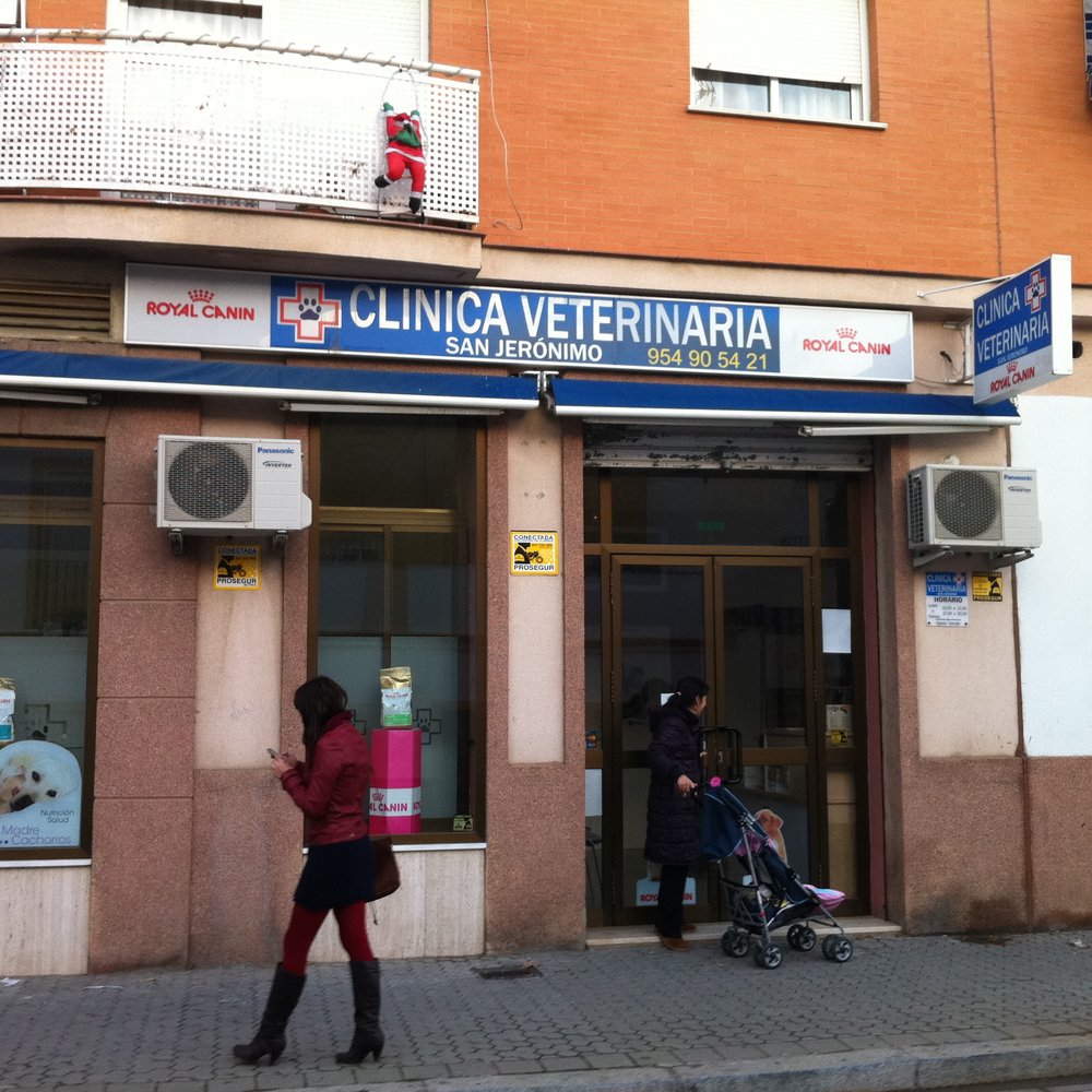 hospital veterinario arroyo hondo 3