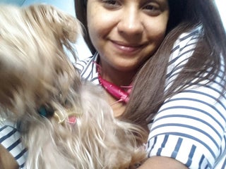 hospital veterinario arroyo hondo 4