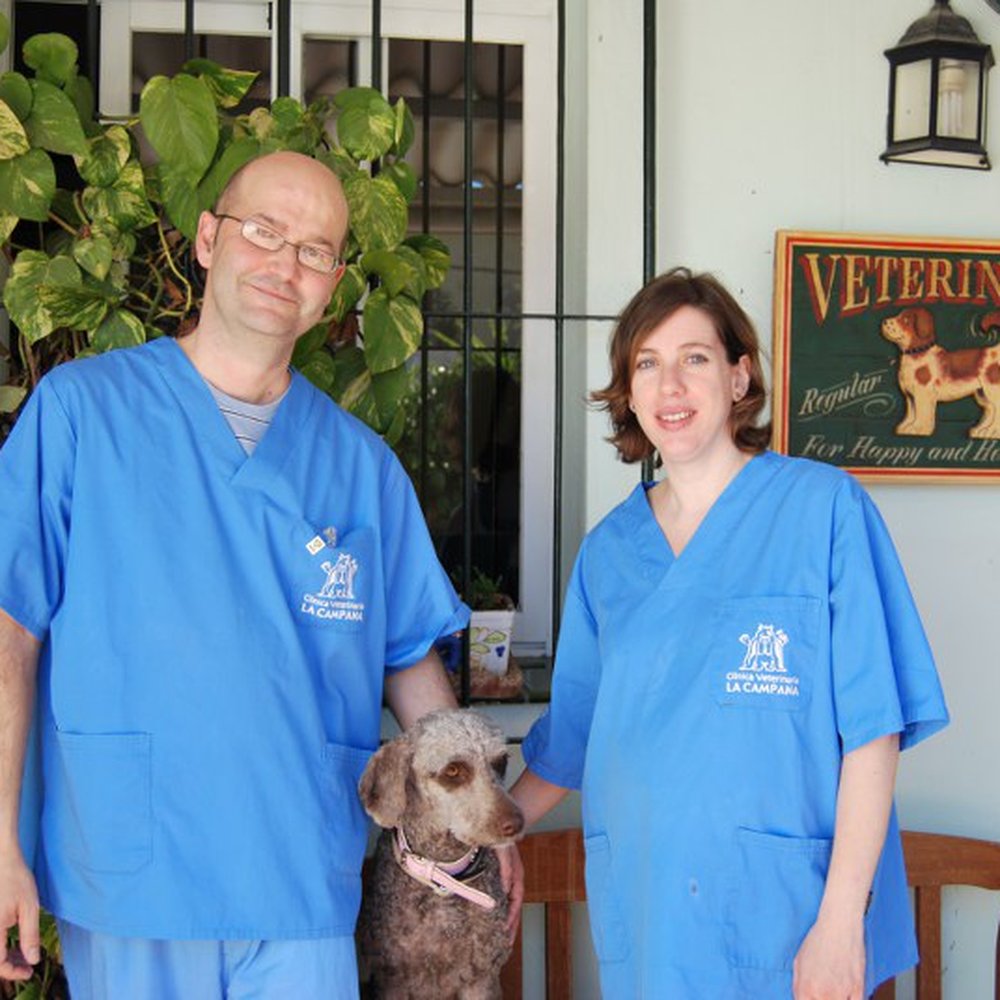 hospital veterinario arroyo hondo 5