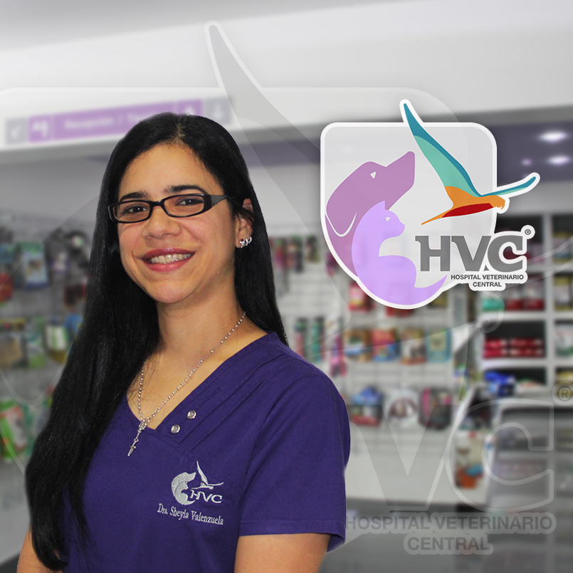 hospital veterinario central 2