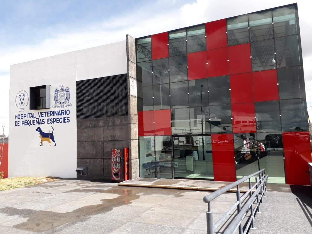 hospital veterinario central 3