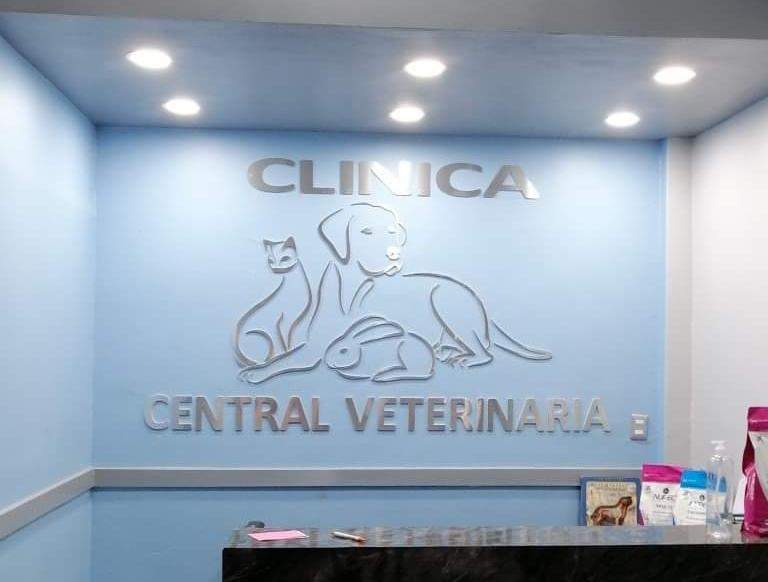 hospital veterinario central 4