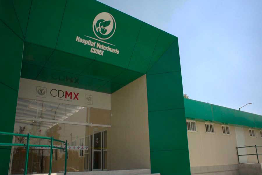 hospital veterinario central