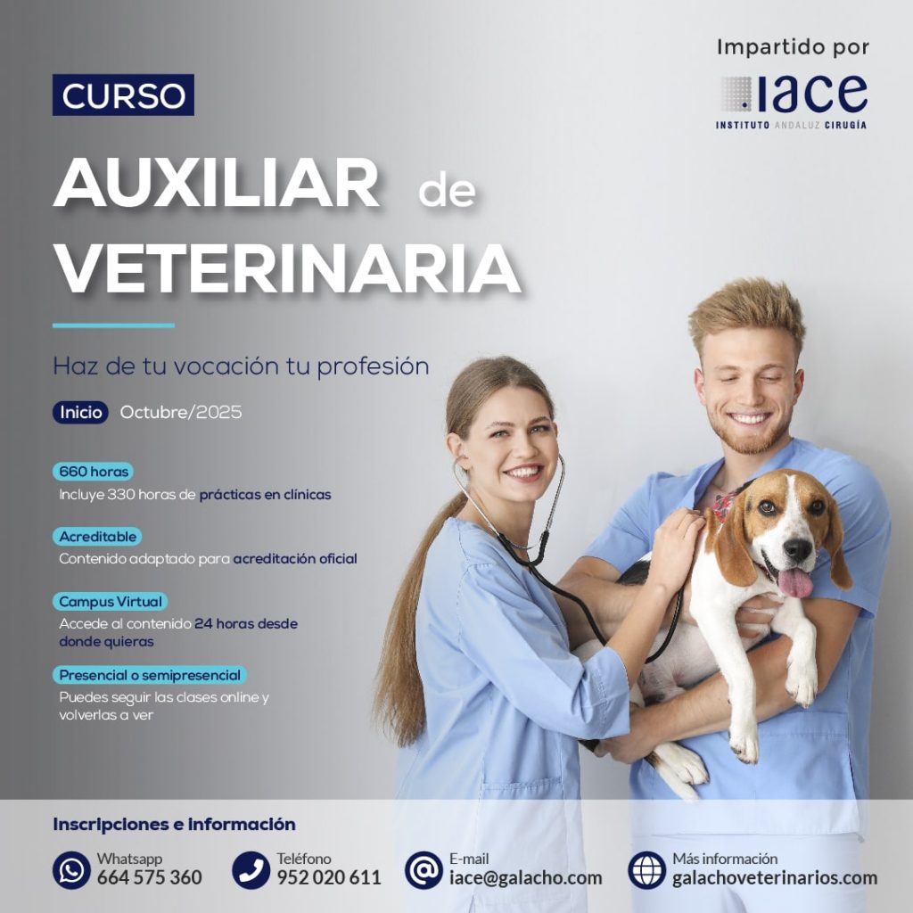 hospital veterinario dr alba