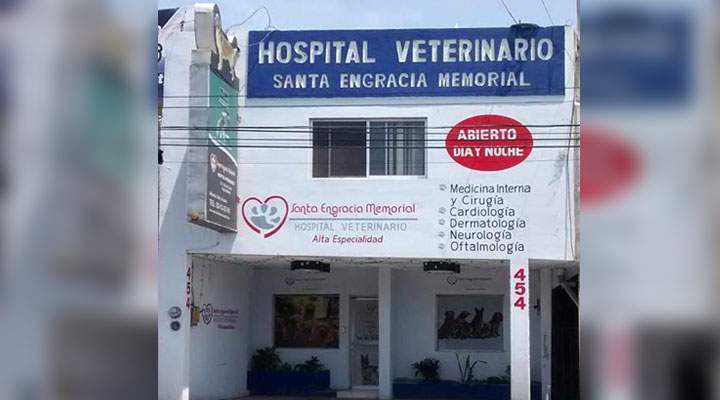 hospital veterinario engombe uasd