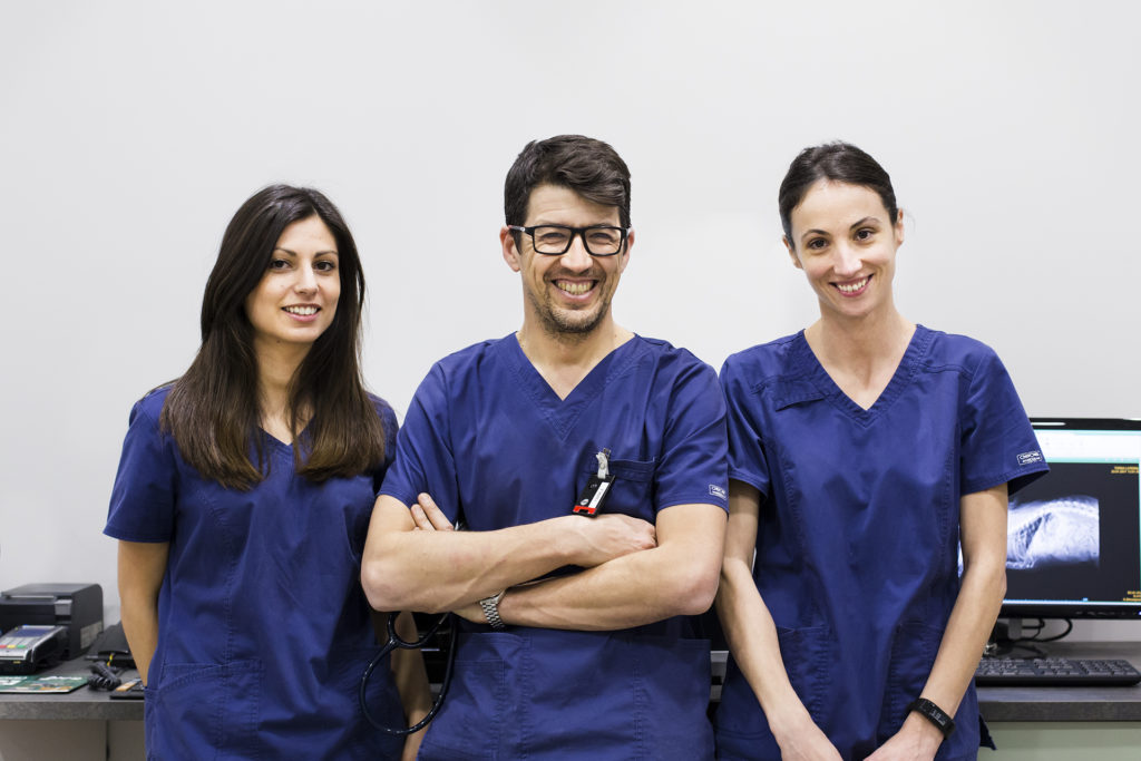 hospital veterinario real 2