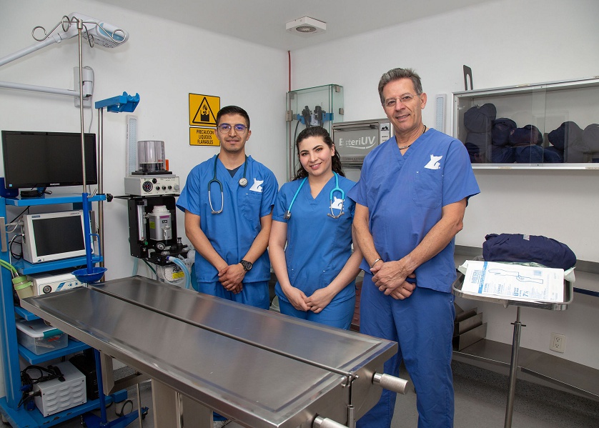 hospital veterinario real 5