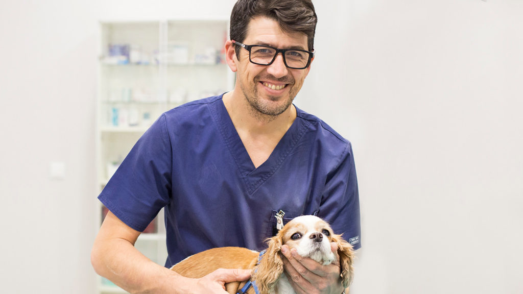 hospital veterinario real