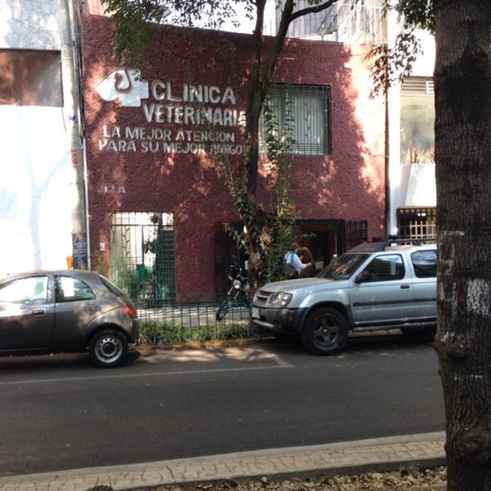 huellas veterinaria dra cuevas 2