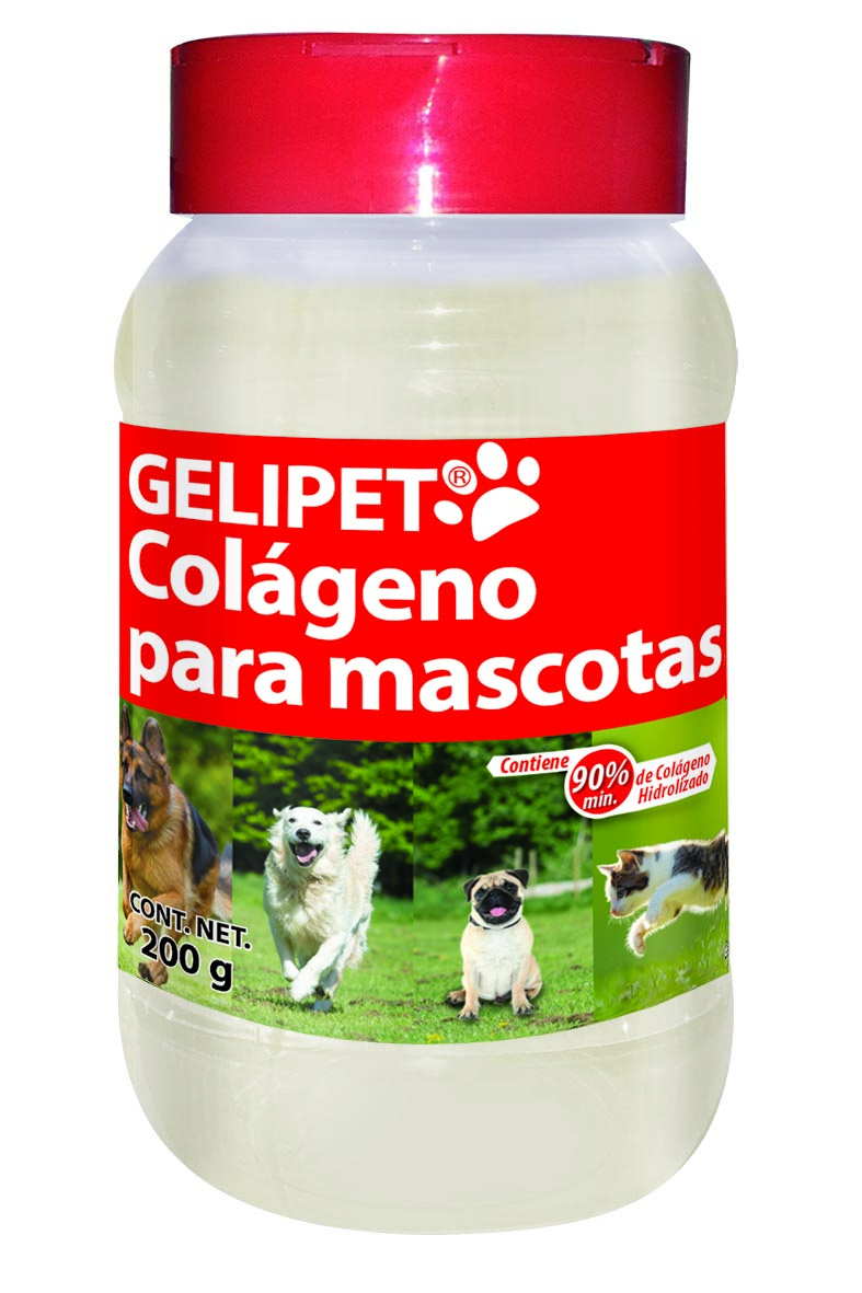 huellas veterinaria dra cuevas 5