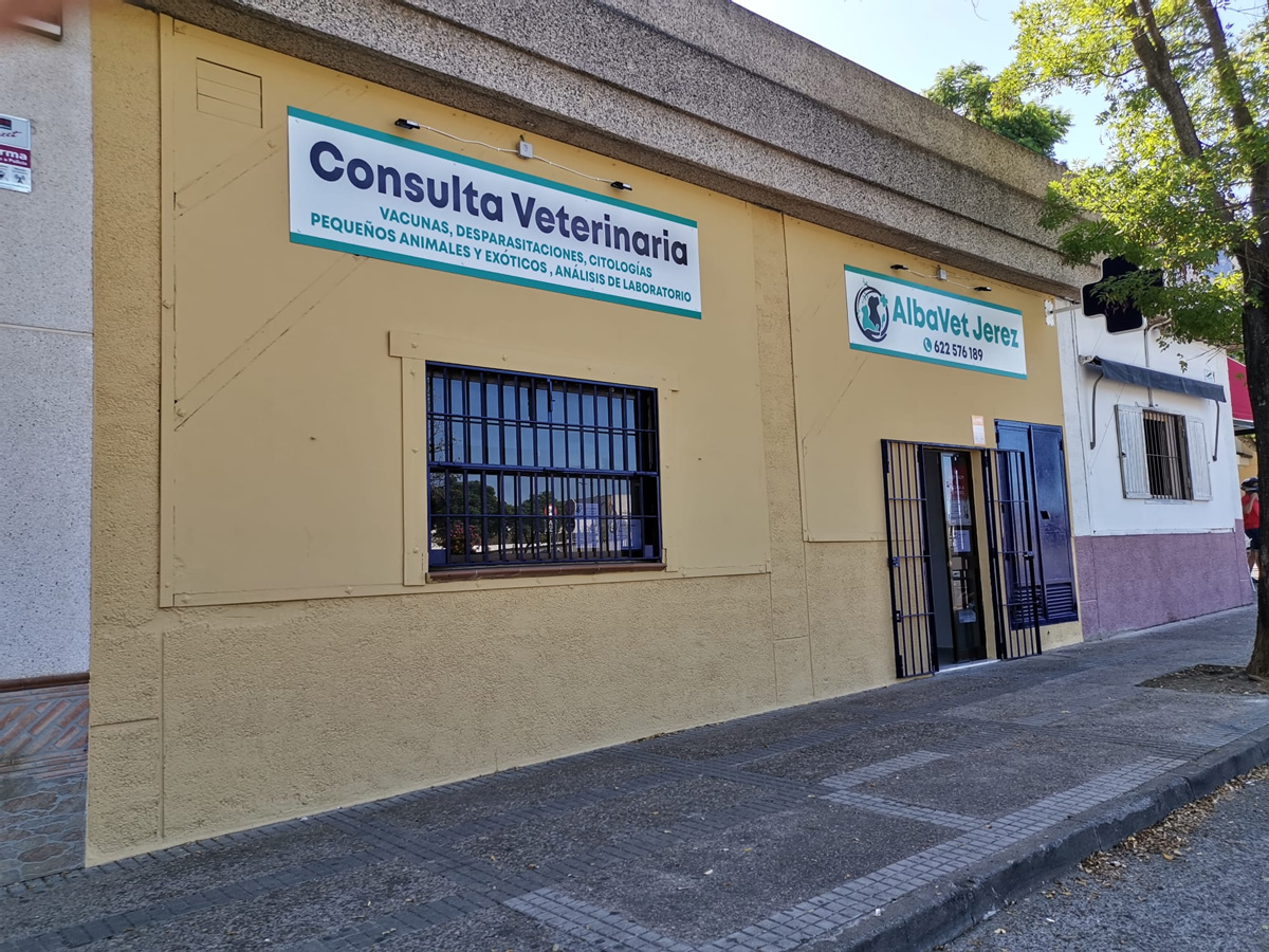 jerez pet clinic 2