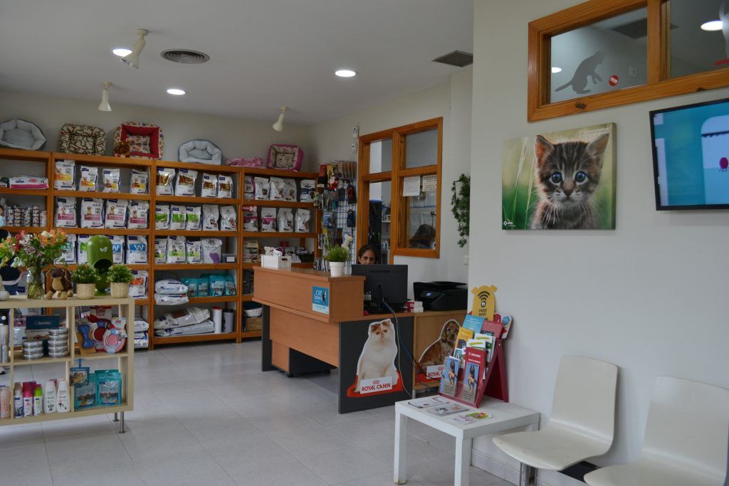 jerez pet clinic 3