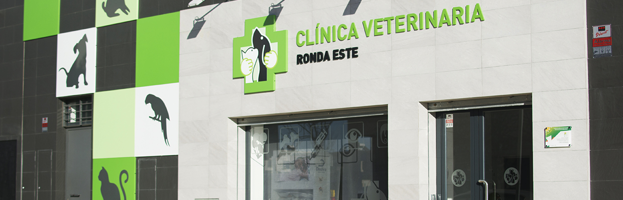 jerez pet clinic 4