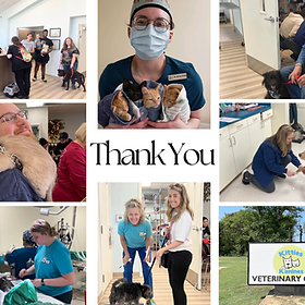 kannes n kats vet center veterinaria