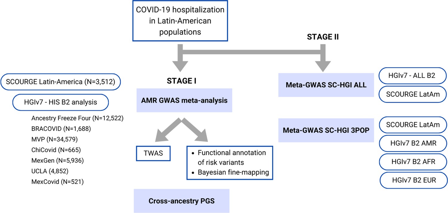laboratorio clinico morilla gomez