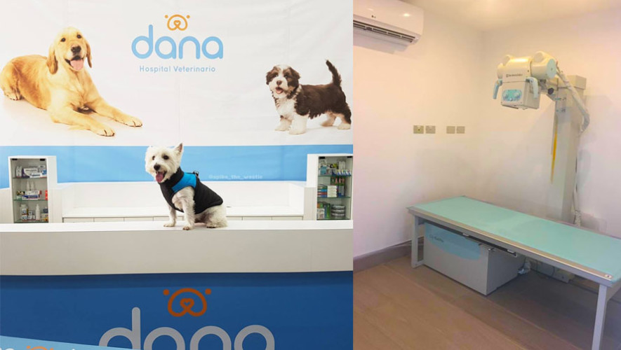 las mejores veterinarias en baitoa