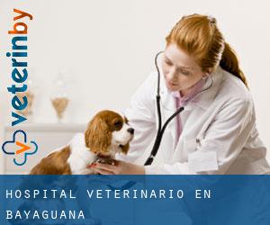 las mejores veterinarias en bayaguana para mascotas y animales domesticos