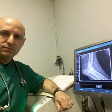 las mejores veterinarias en bisono